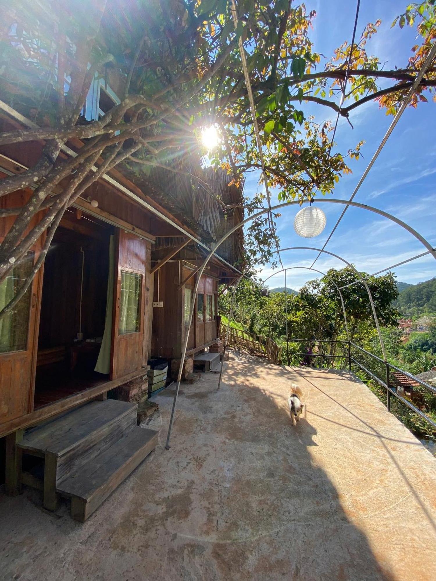 Vườn Nhà Củi Apartamento Da Lat Exterior foto